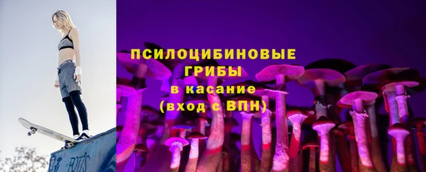 ПСИЛОЦИБИНОВЫЕ ГРИБЫ Михайловка