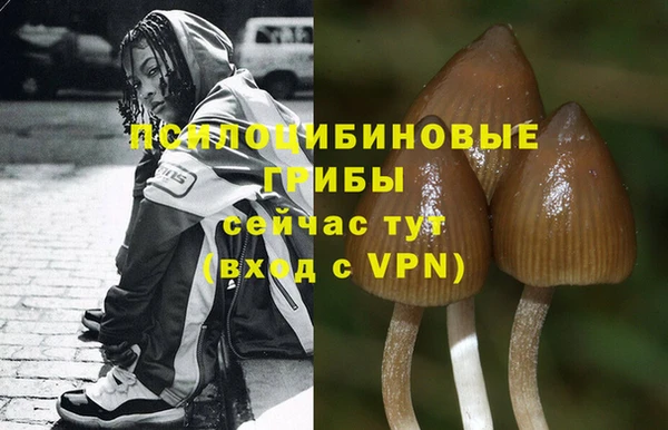 скорость mdpv Михайлов