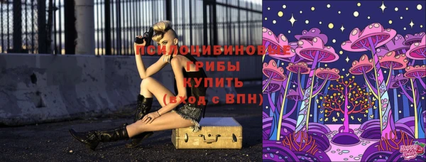 кокс Абаза