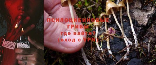 соль ск Абдулино