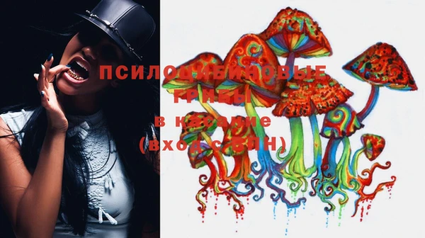 ALPHA PVP Михайловск